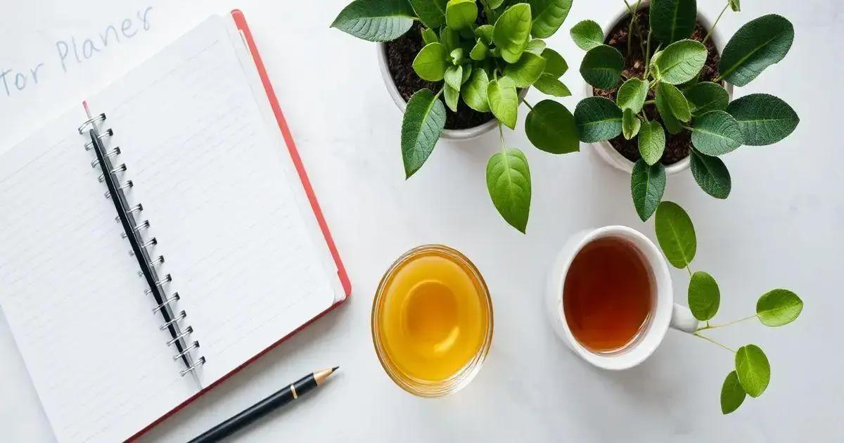 Dicas práticas para equilibrar produtividade e bem-estar