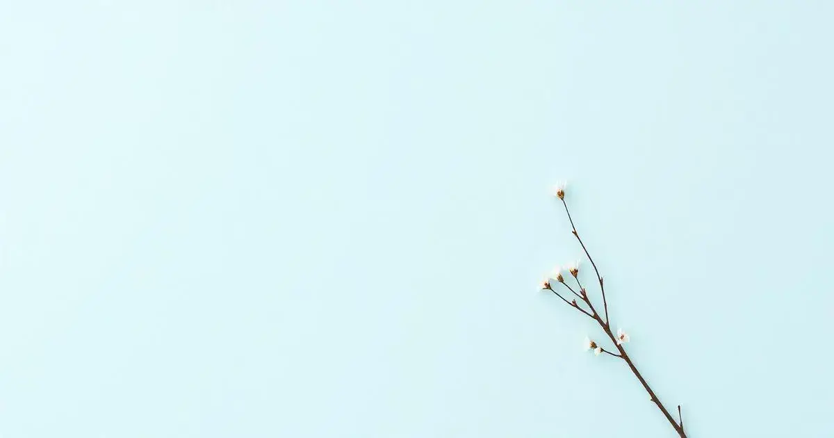 Como estudar inteligência emocional: 5 dicas práticas para você