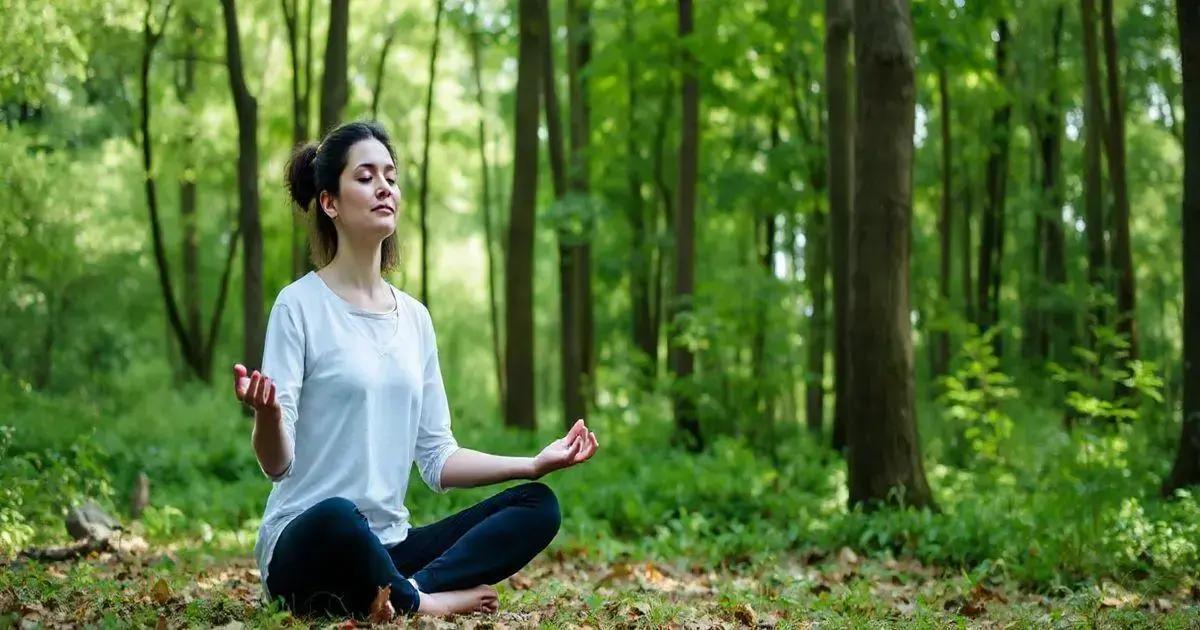 Curso de Autoconhecimento: Transforme sua Vida e Realize seu Potencial