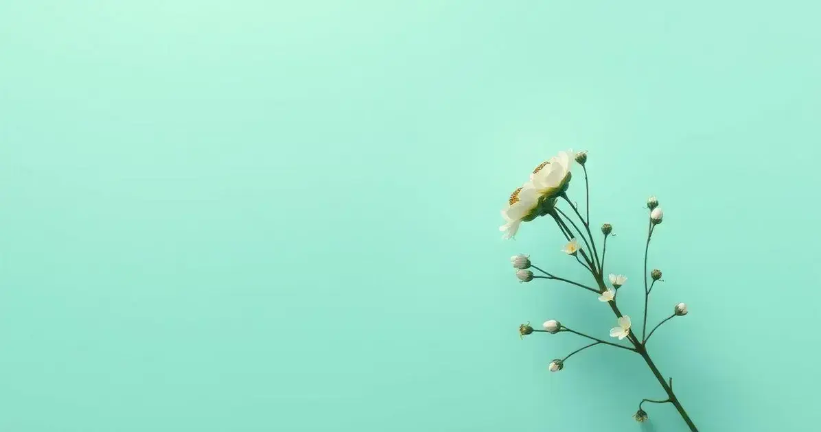 Curso de Inteligência Emocional Grátis: Aprenda a Controlar Suas Emoções